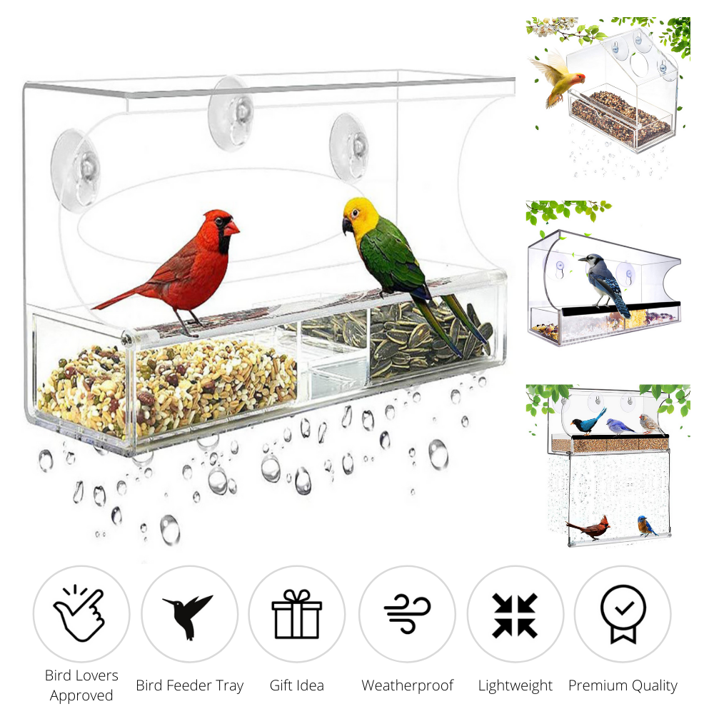 Nature Bird Feeder