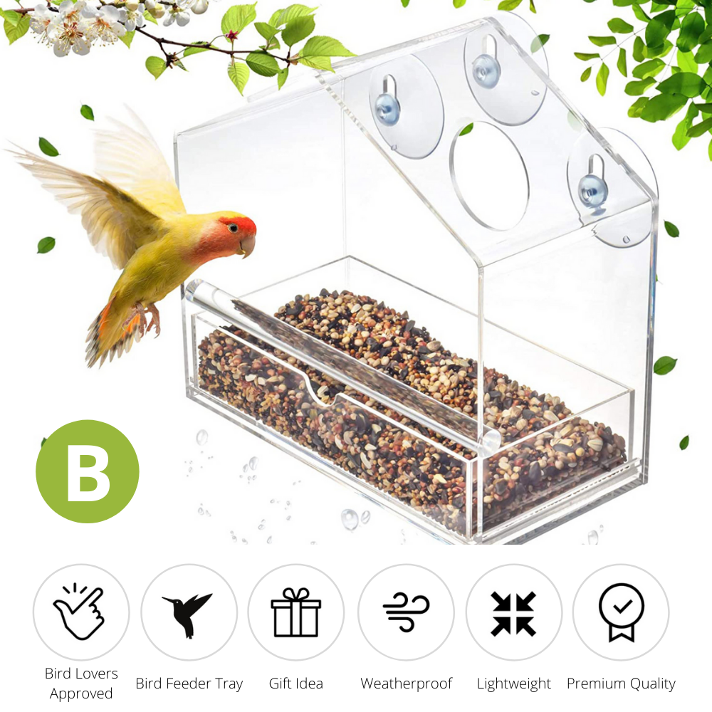 Nature Bird Feeder