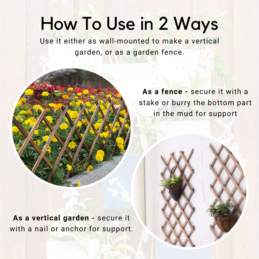 Expanding Garden Trellis