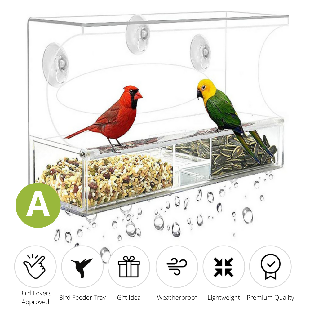 Nature Bird Feeder