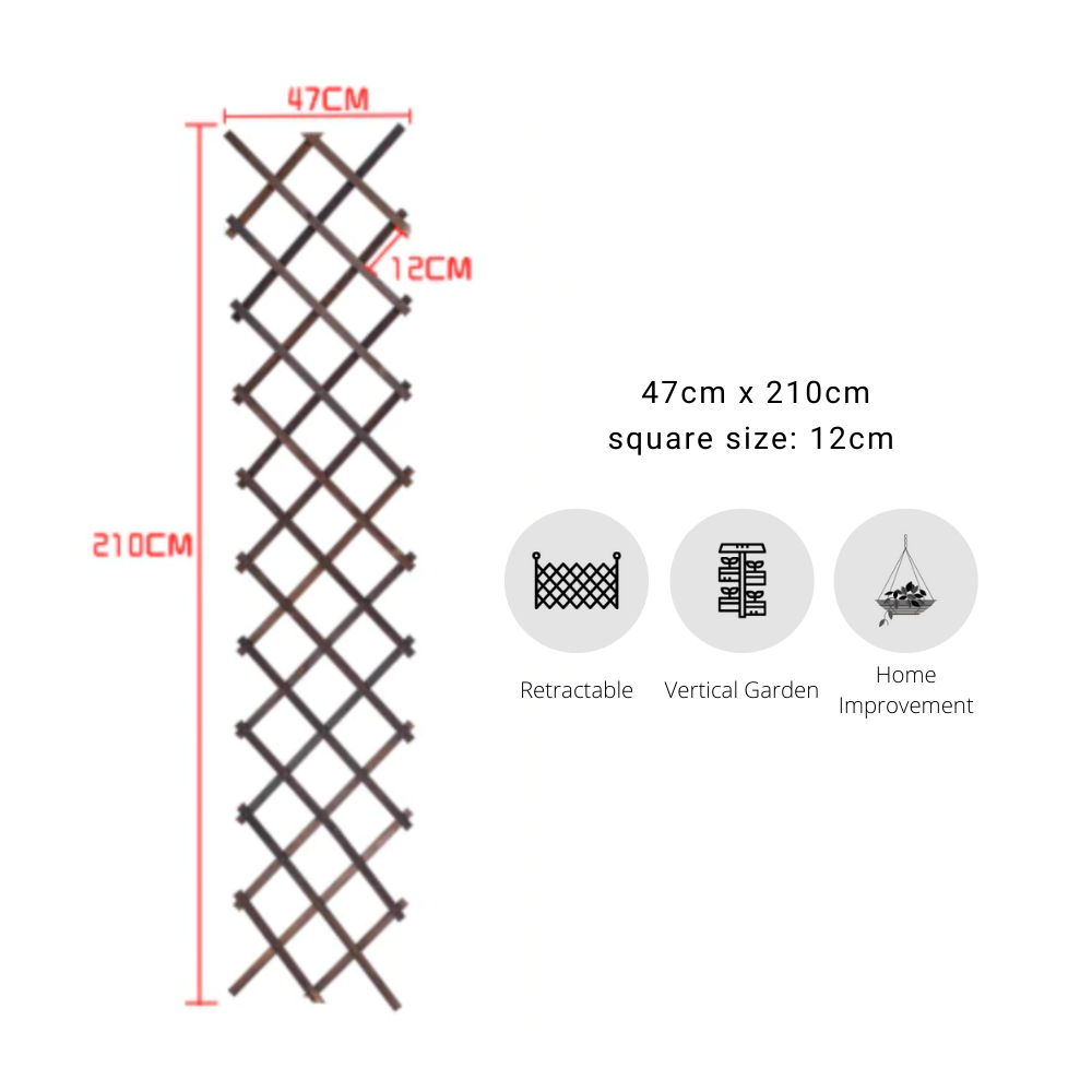 Expanding Garden Trellis