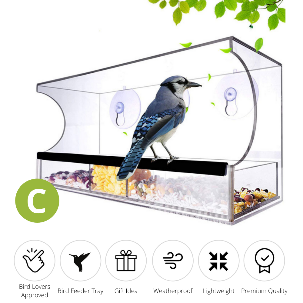 Nature Bird Feeder
