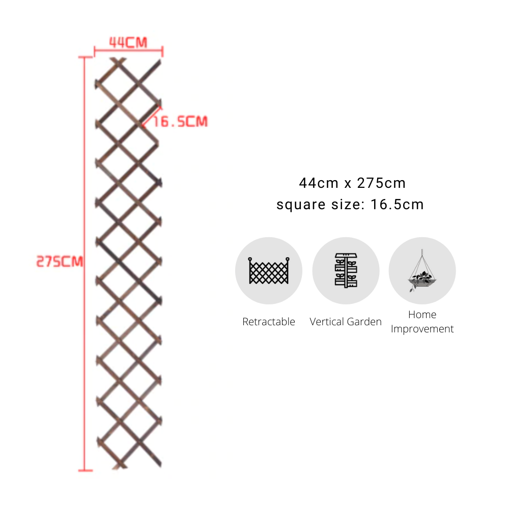 Expanding Garden Trellis
