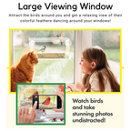 Nature Bird Feeder