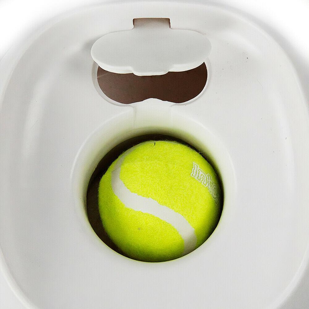 PetGame Automatic Fetch Ball and Feed Launcher
