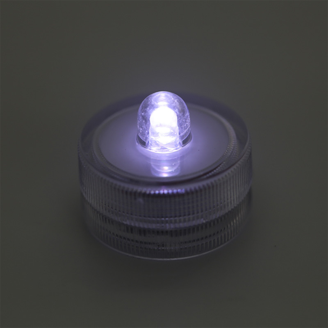 AquaCOOL Mini Fish Tank