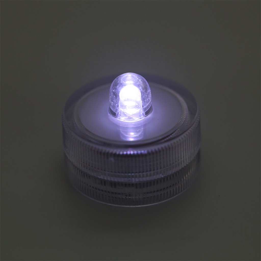 AquaCOOL Mini Fish Tank