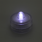 AquaCOOL Mini Fish Tank