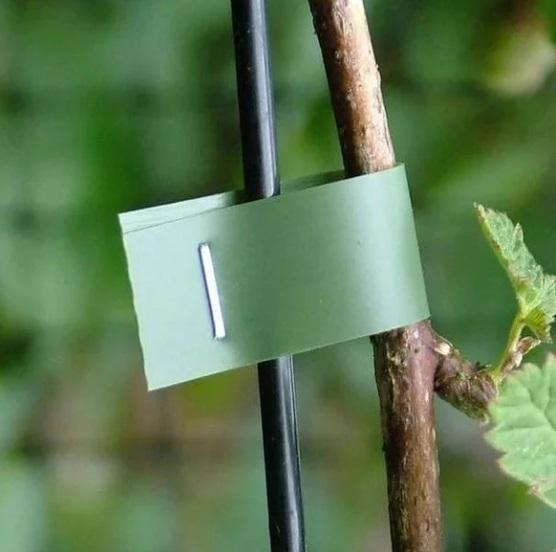 Plant Binding Machine