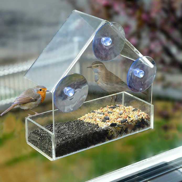 Mountable Clear Bird House