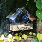 Mountable Clear Bird House