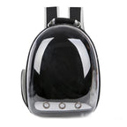 See Through Pet Travel Backpack