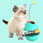 Interactive Track Ball Cat Feeder