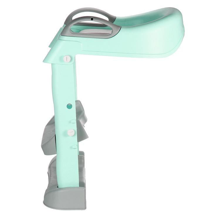 Blue Jazz Potty Training Seat With Step Stool