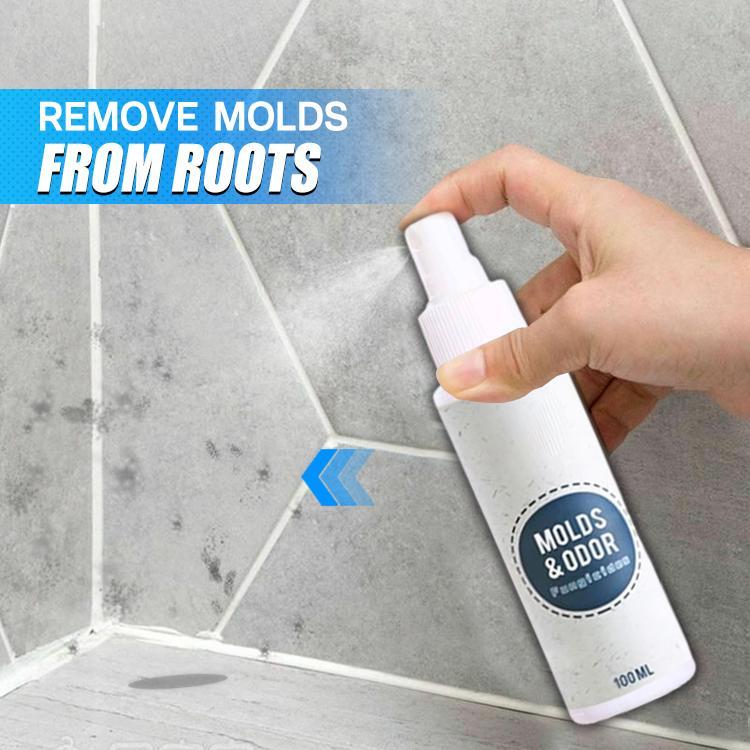 CleanHouse Mold and Odor Remover Spray