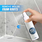 CleanHouse Mold and Odor Remover Spray