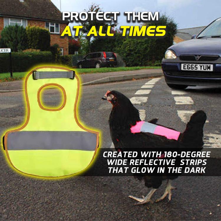 Poultry+ Chicken Reflective Vest