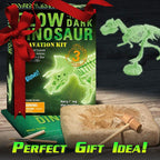 SidePlay Glowing Dino Excavation Kit