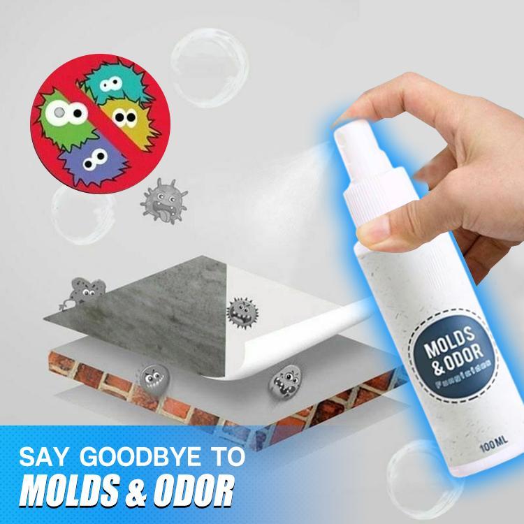CleanHouse Mold and Odor Remover Spray