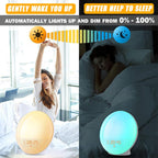 Sleepie Sunrise Simulation WiFi Controlled Alarm Clock