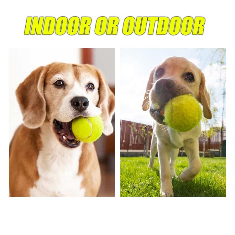 PetGame Automatic Fetch Ball and Feed Launcher