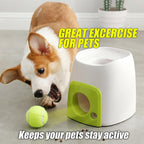 PetGame Automatic Fetch Ball and Feed Launcher