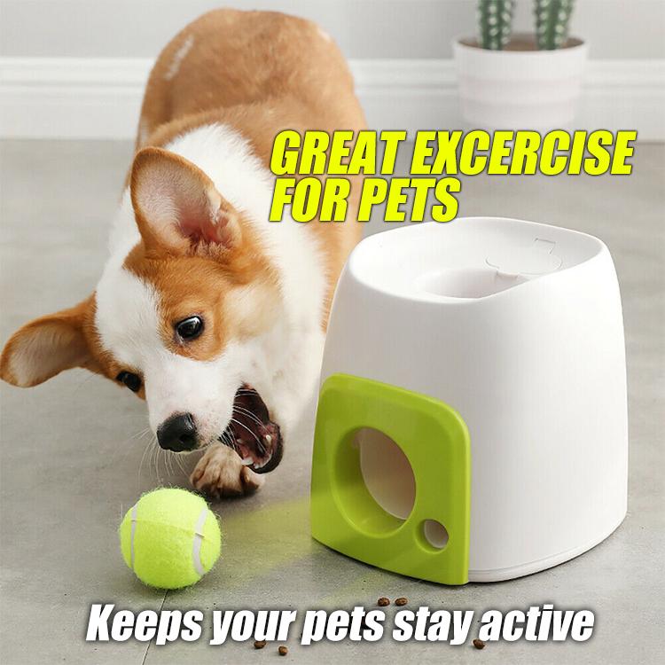 PetGame Automatic Fetch Ball and Feed Launcher