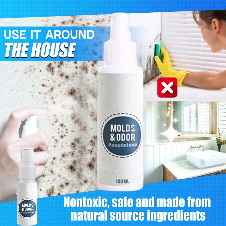 CleanHouse Mold and Odor Remover Spray