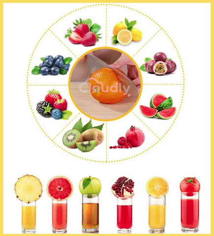 Multifunctional Manual Juicer (Hot Sale 50% OFF)
