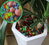 Magic Soil™ Biodegradable Plant Beads