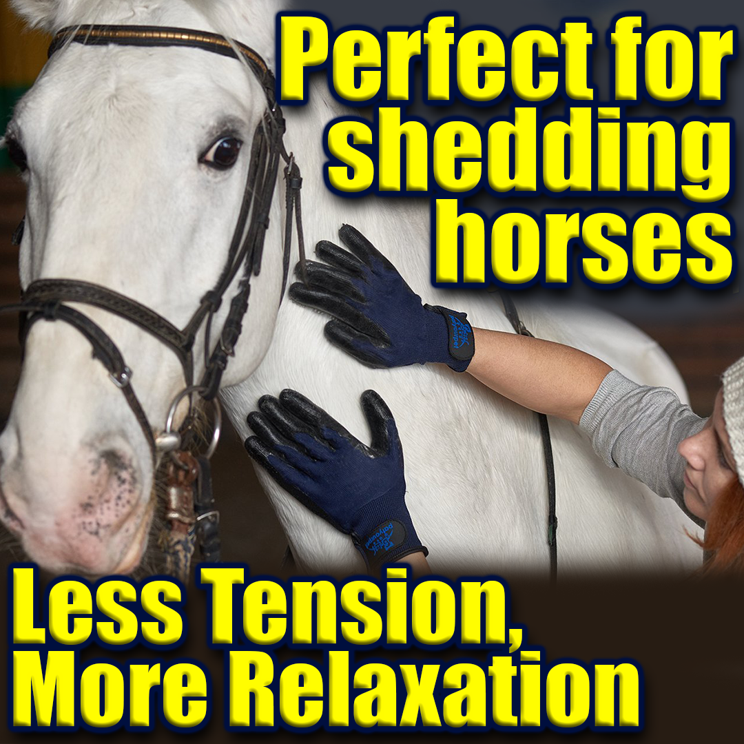 Pet Grooming Gloves for Dogs, Cats and Horses