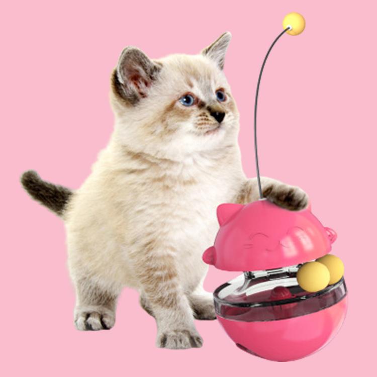 Interactive Track Ball Cat Feeder