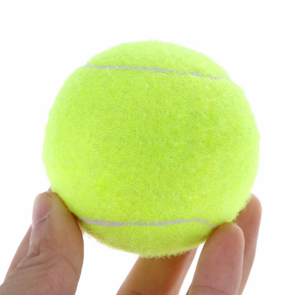 PetGame Automatic Fetch Ball and Feed Launcher