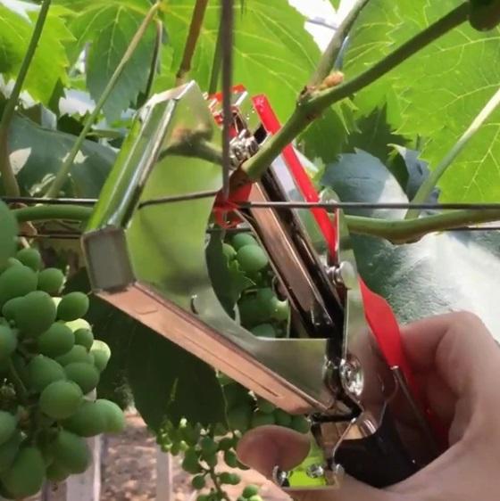 Plant Binding Machine