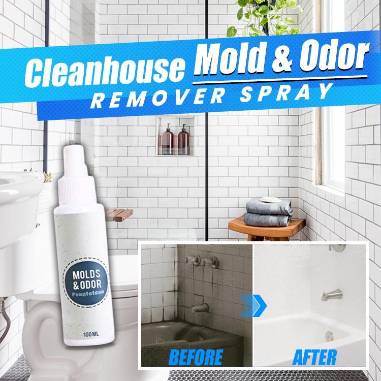 CleanHouse Mold and Odor Remover Spray