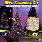 APPfx Customizable App Controlled Smart Christmas Lights